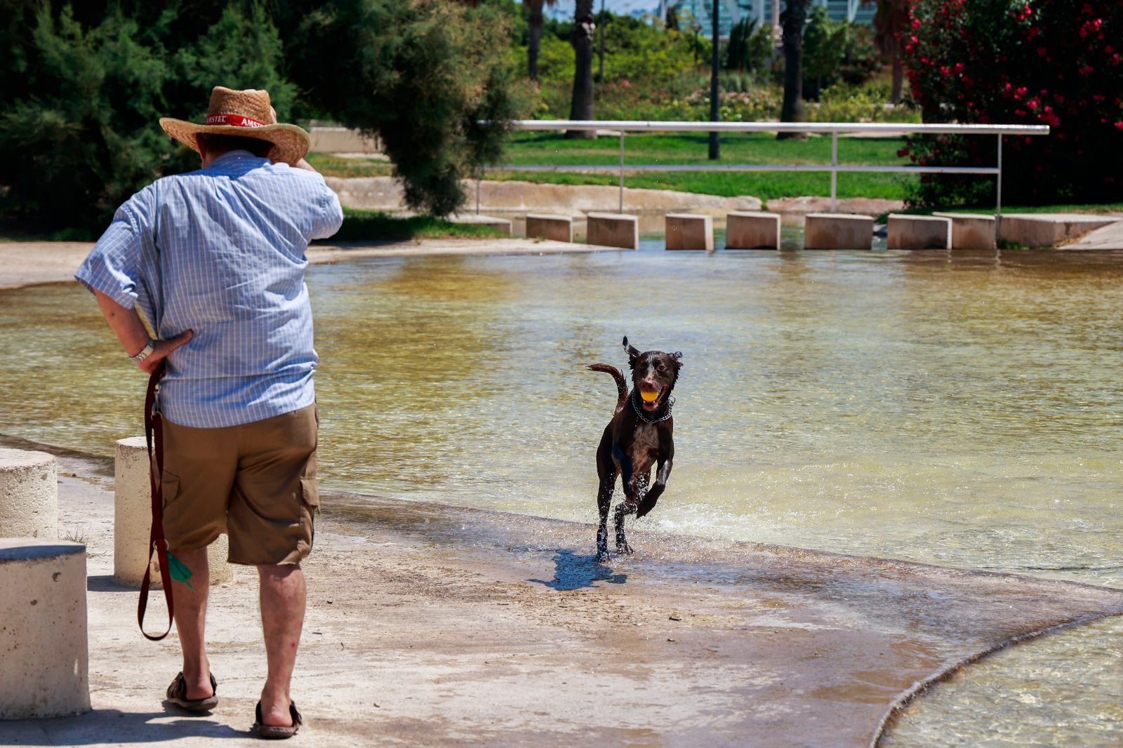 València busca cobijo contra el calor en la playa y las plazas