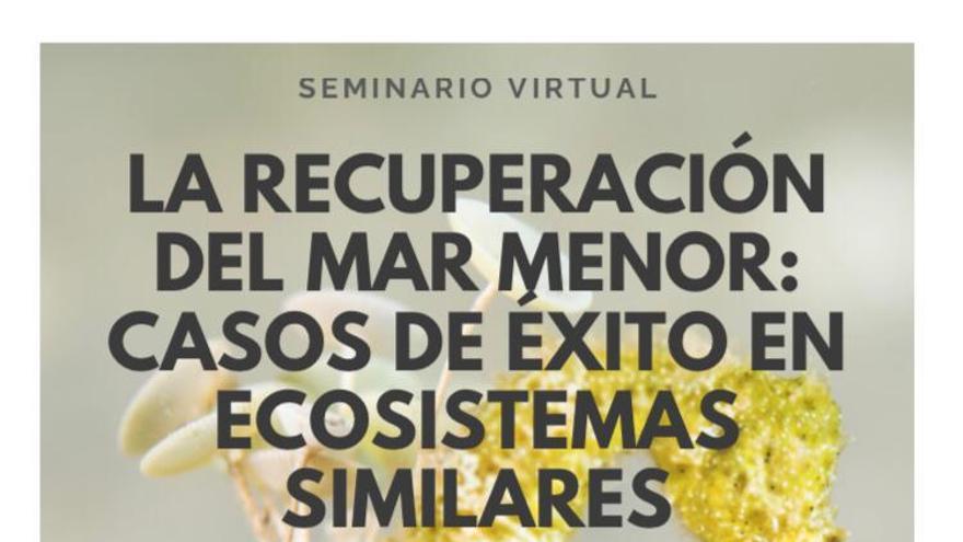 La Comunidad organiza un seminario &#039;online&#039; sobre la recuperación del Mar Menor