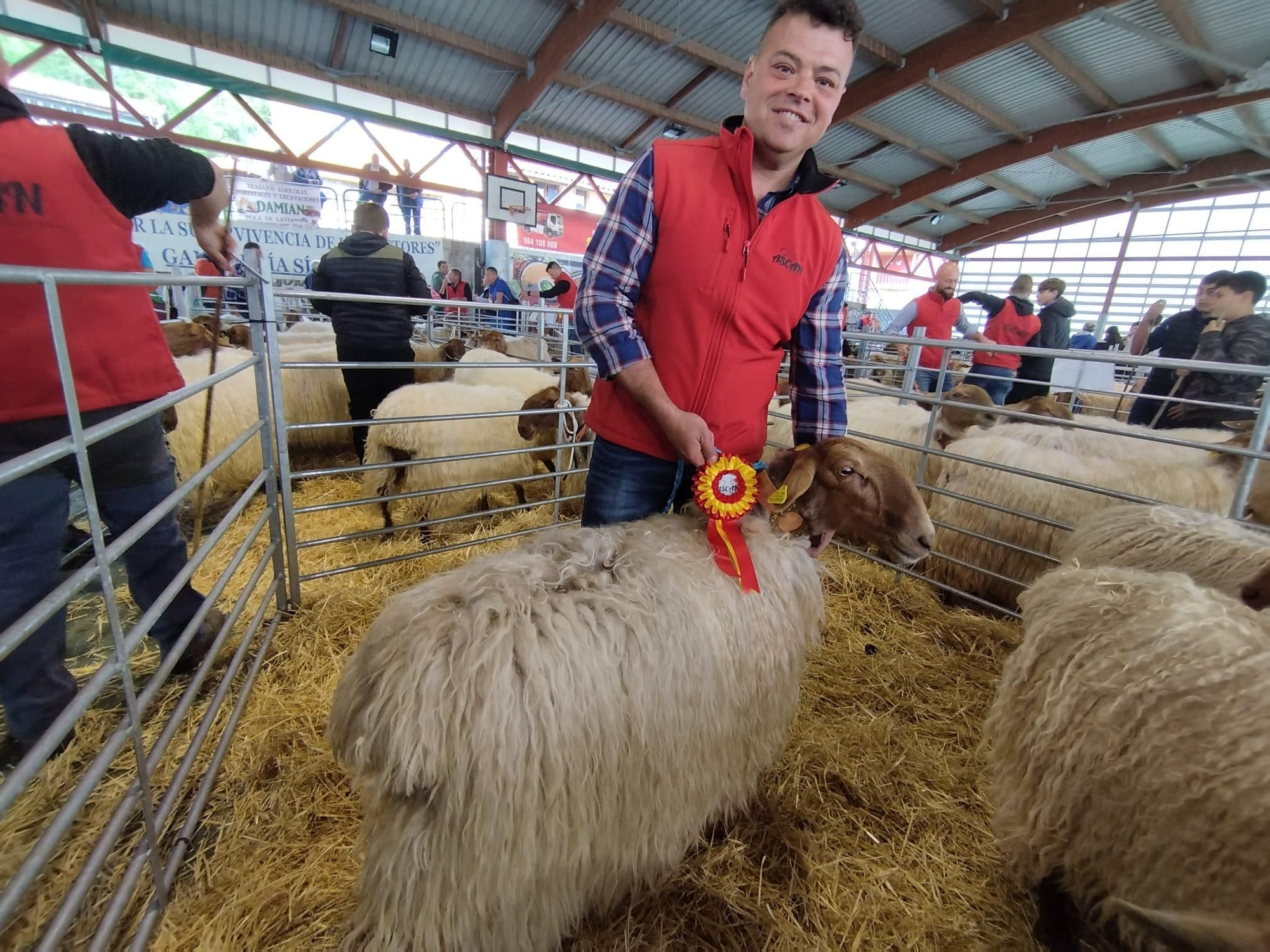 4º Concurso de Ovejas Carranzana y Exposición de Cabras en Soto de Agues (Sobrescobio)