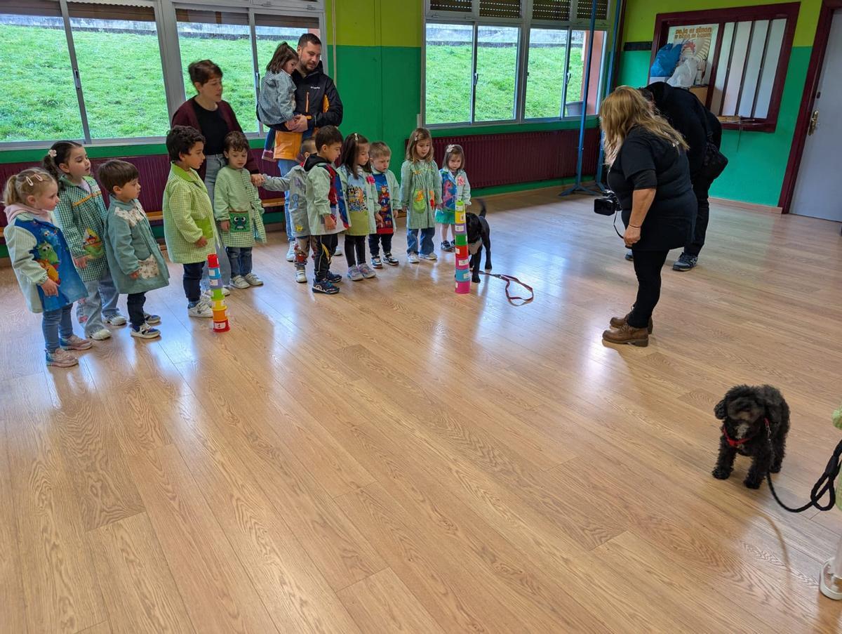 Escolares de tres años en la actividad con los perros.