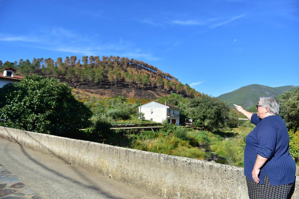 Galería | Las Hurdes, 15 días después del incendio forestal