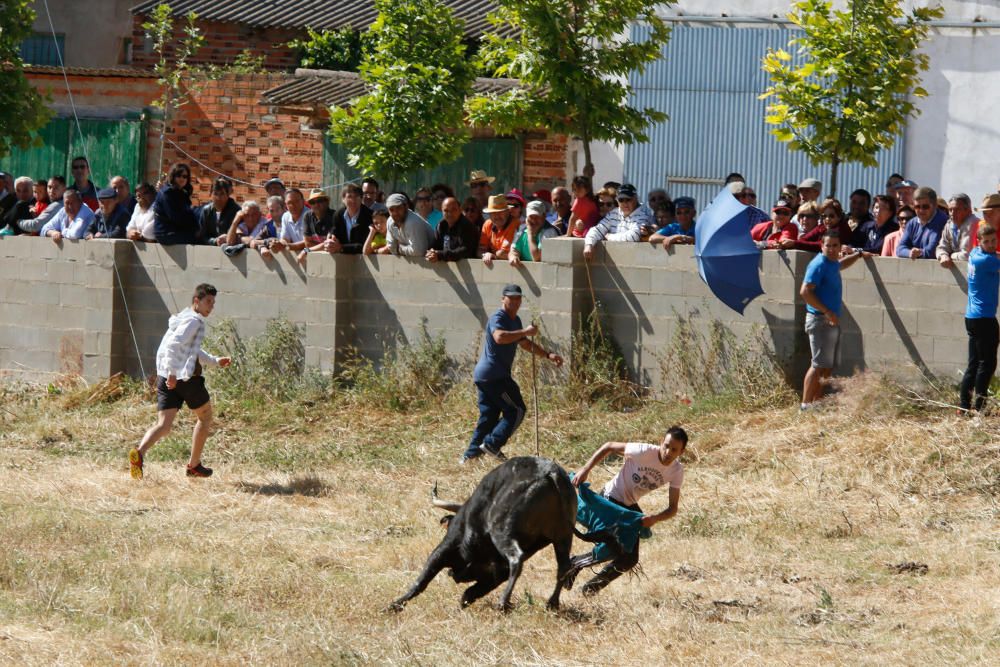 Espantes de Guarrate