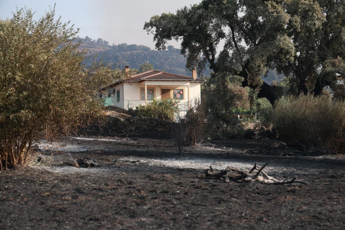 Fotogalería | Los vecinos vuelven a sus casas: así ha quedado Villar de Plasencia