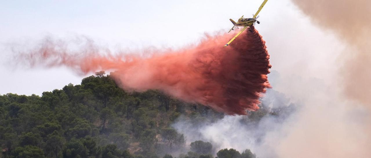 Un avioneta en las  tareas de extinción del incendio de Monóvar del pasado mes de julio.