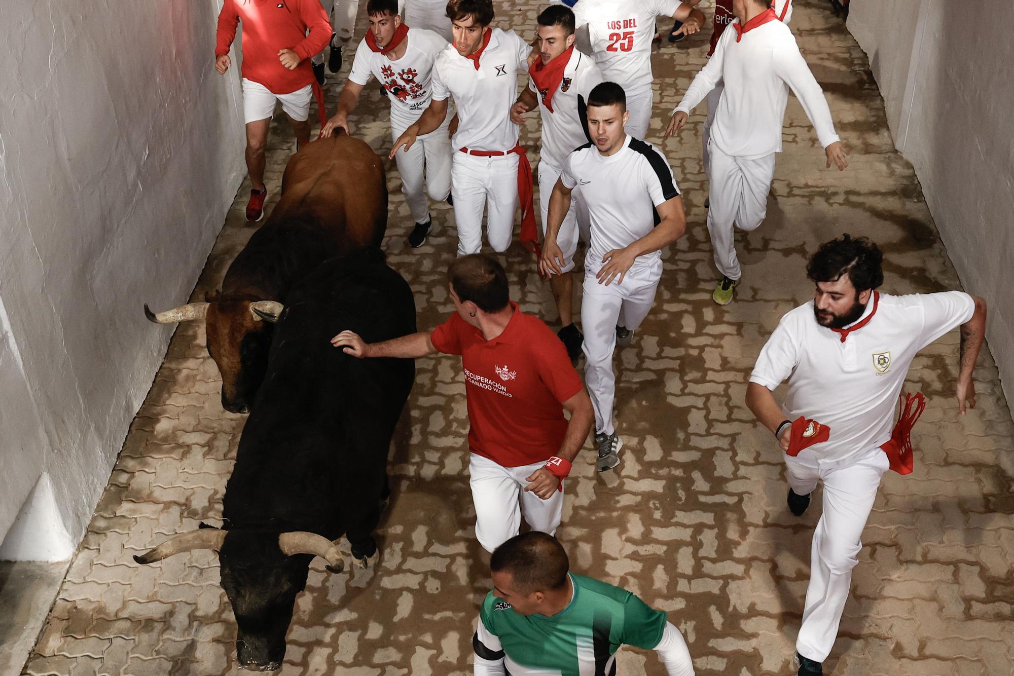 Los toros de Jandilla protagonizan el sexto encierro de Sanfermines