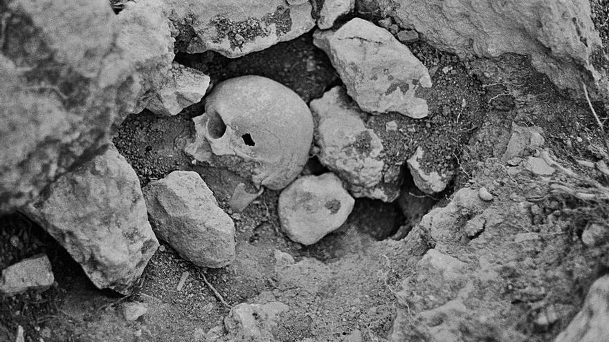 Una calavera encontrada en el yacimiento arqueológico.