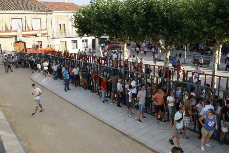 Encierro urbano en Fuentesaúco.