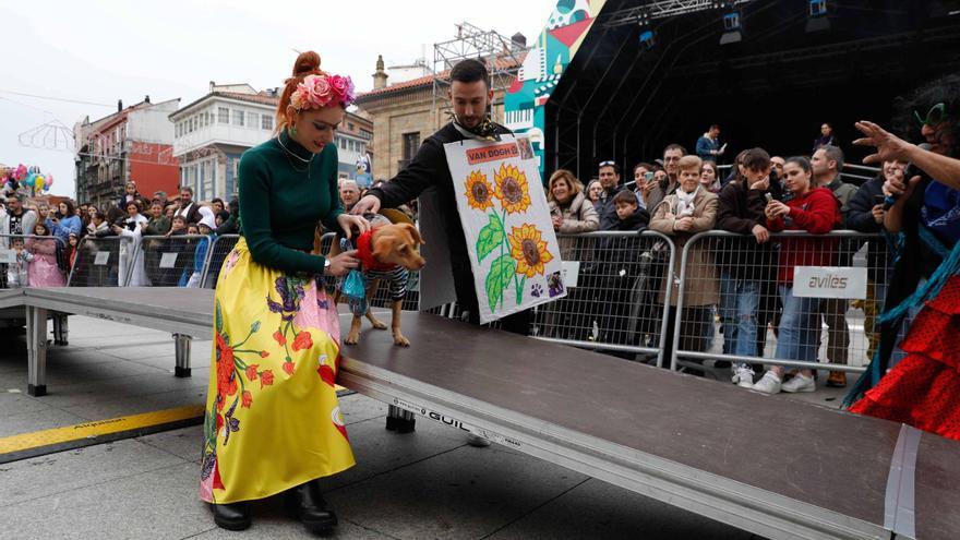 Un perro pintor, un gato con botas y una ginkana: Avilés vive su Antroxu en la calle