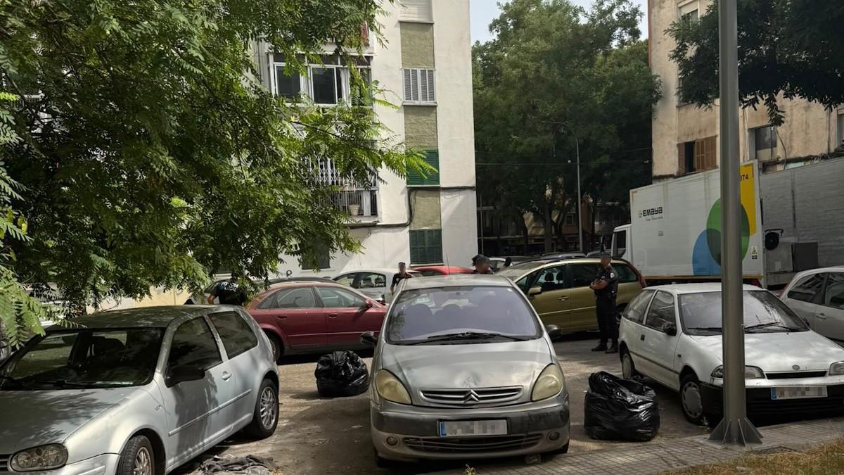 Retiran toneladas de escombros y enseres abandonados que bloqueaban el paso en varias calles de Son Gotleu