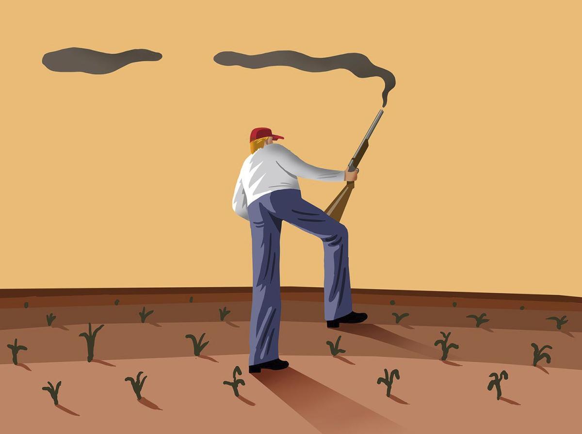 Quan la serp es mossega la cua