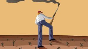 Quan la serp es mossega la cua