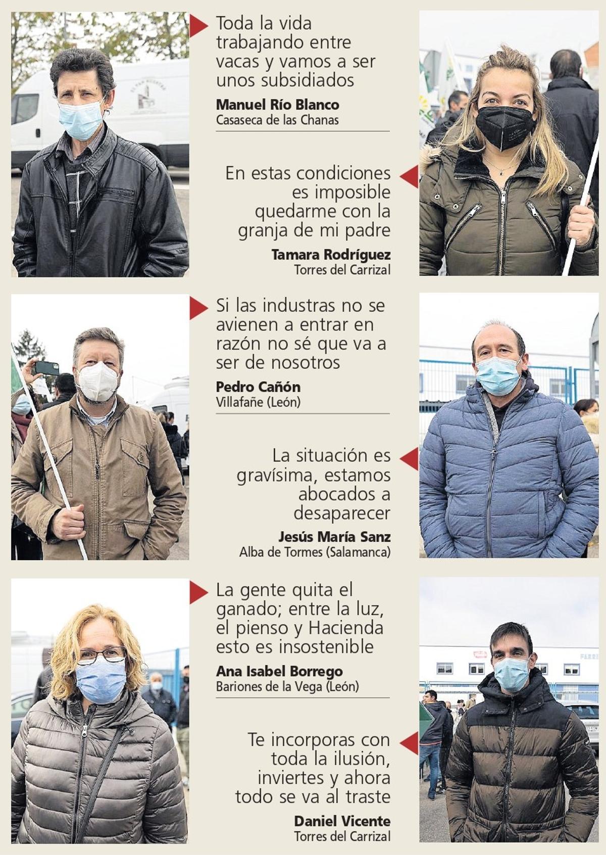 La voz de los ganaderos
