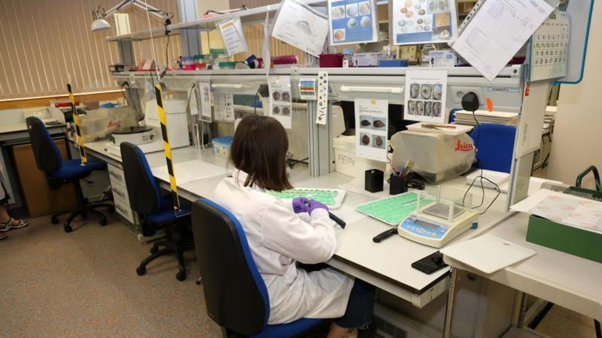 Las instalaciones del Intecmar, en Vilagarcía.