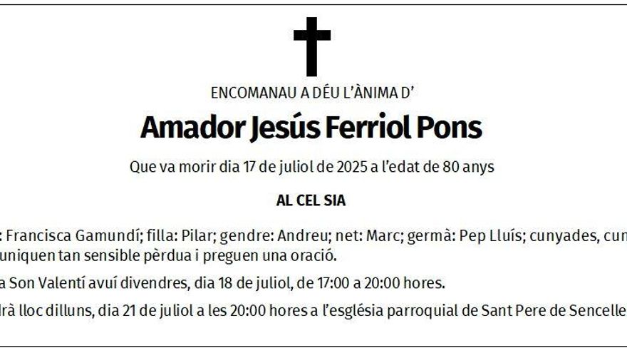 Amador Jesús Ferriol Pons