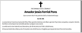 Amador Jesús Ferriol Pons