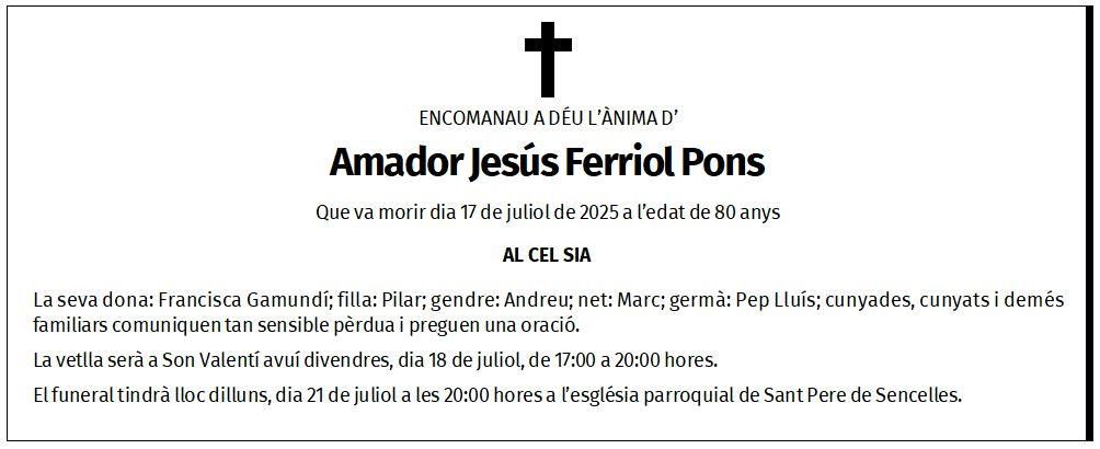 Amador Jesús Ferriol Pons