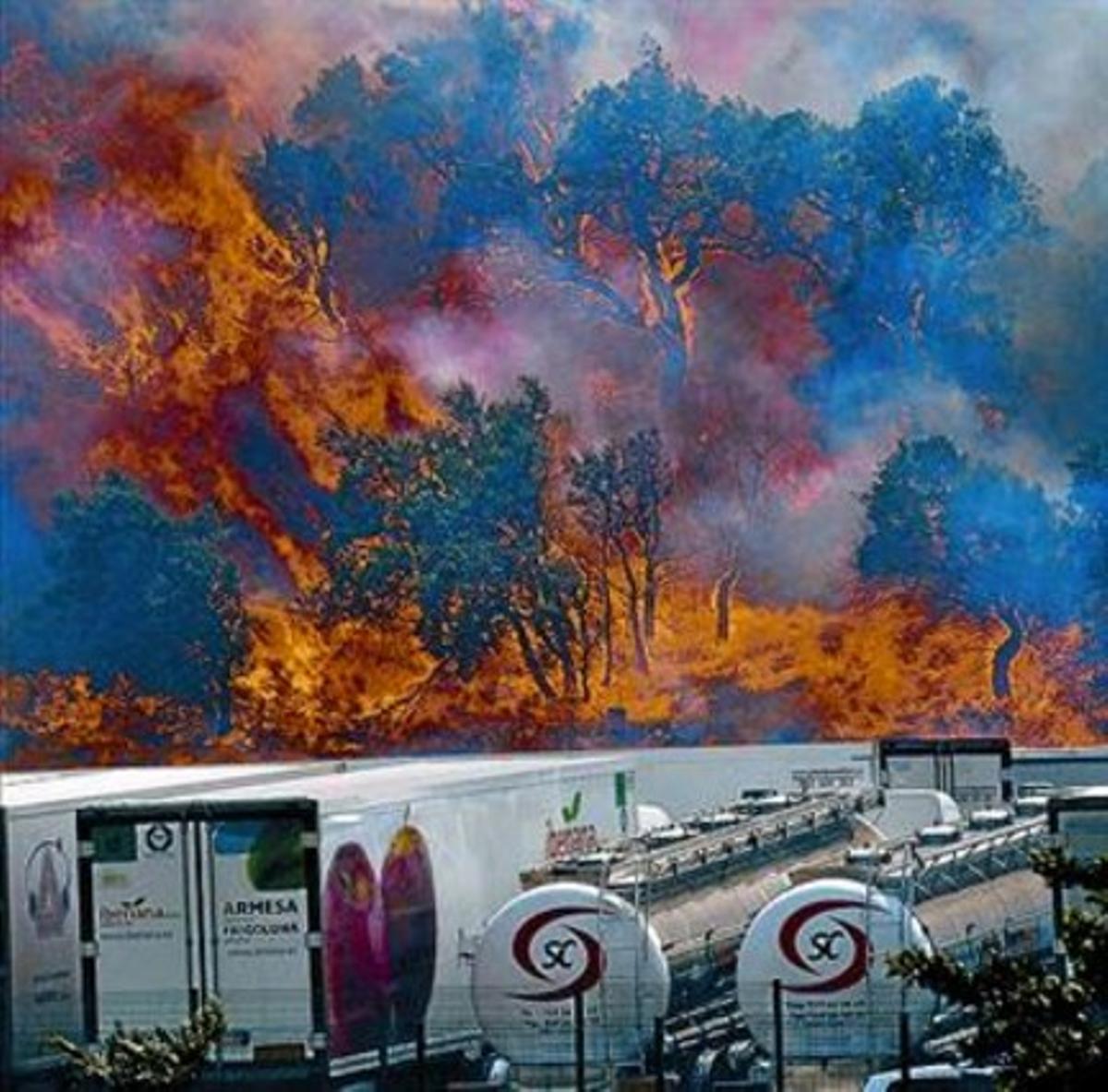 Les flames devoren uns arbres a prop de la duana de la Jonquera.