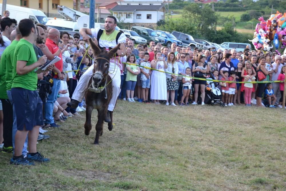 Carrera de burros en Pañeda