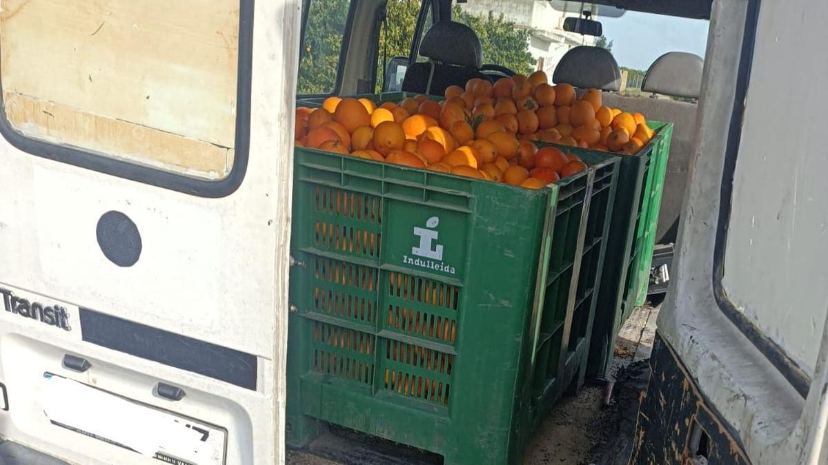 Naranjas robadas en un furgón.