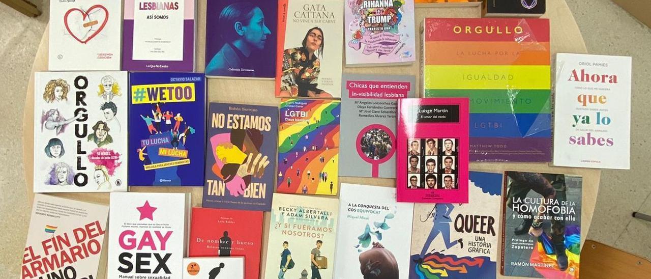 Imagen de los libros de temática LGTBI que han sido retirados de 11 institutos de Castelló por decisión judicial.
