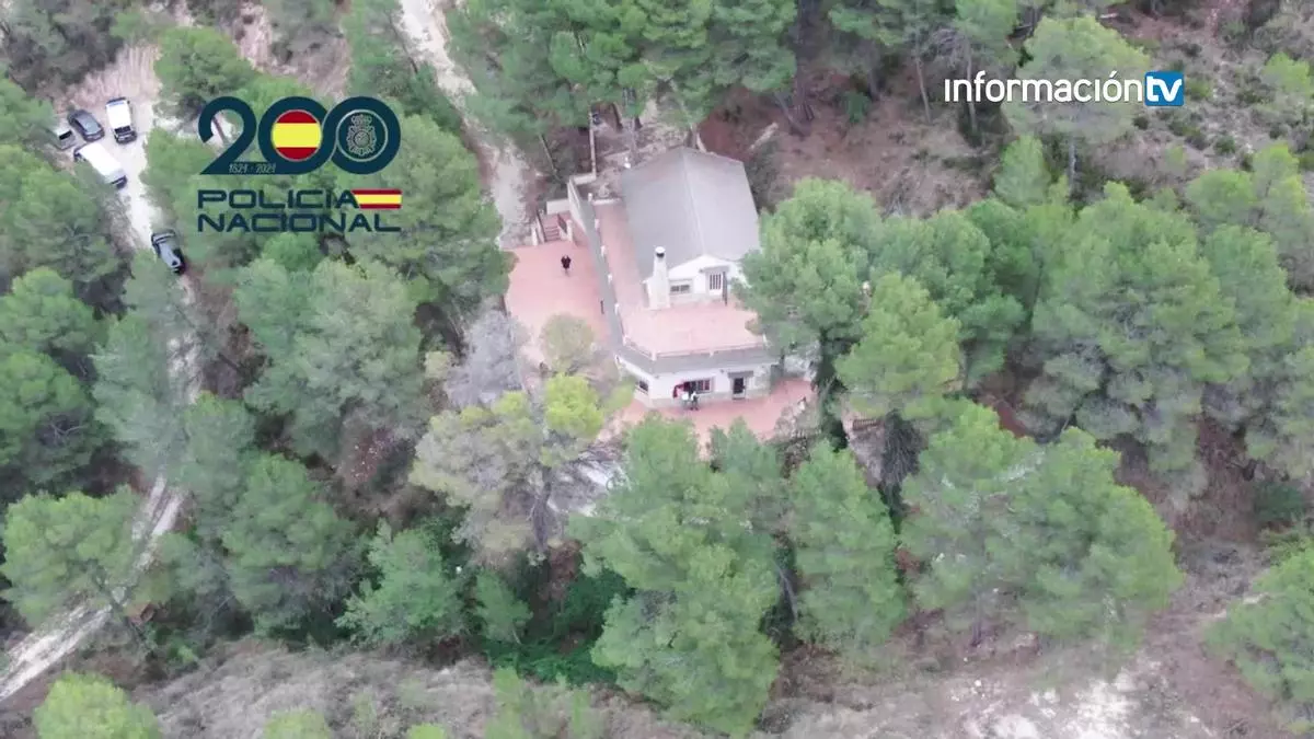 Desmanteladas tres plantaciones de marihuana “indoor” en chalés de lujo de la provincia de Alicante