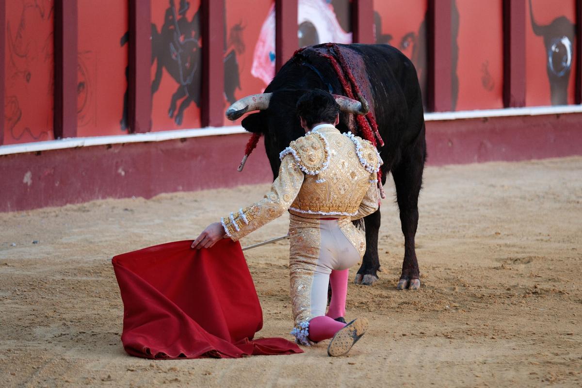 Corrida Picassiana este sabado 4 de abril en la plaza de Toros de la Malagueta
