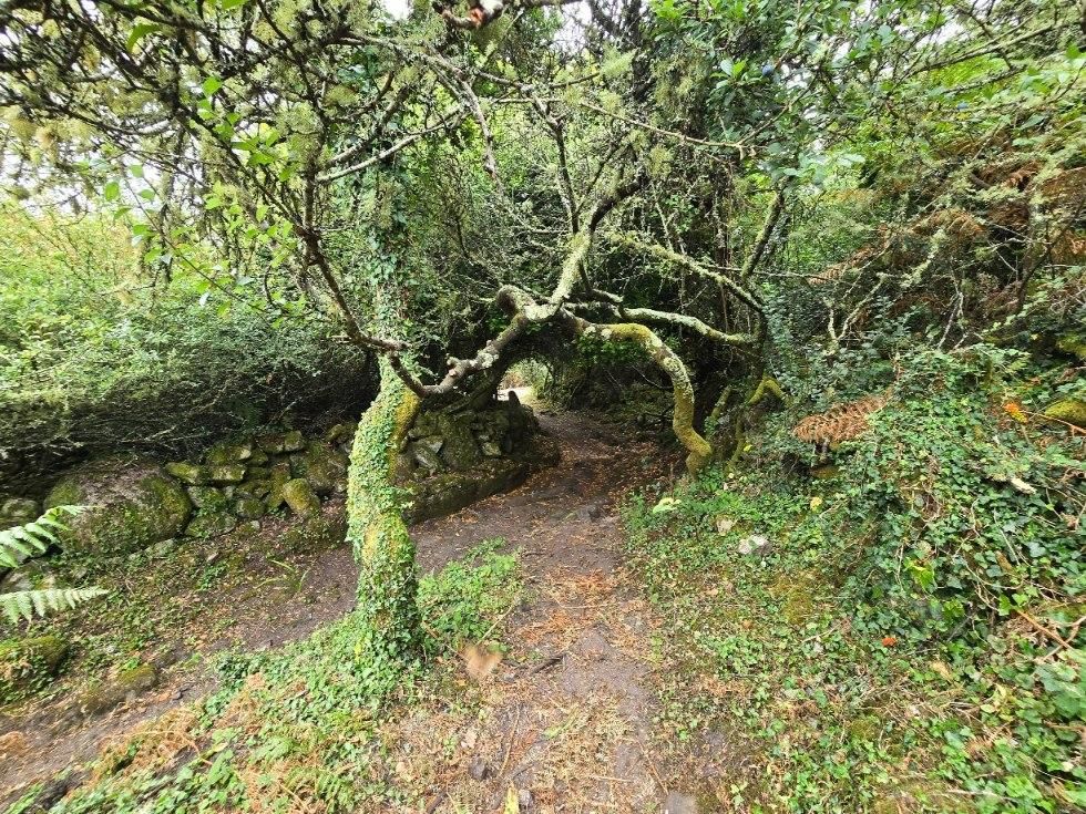 La isla de Sálvora, una de las joyas del Parque Nacional de las Islas Atlánticas de Galicia.