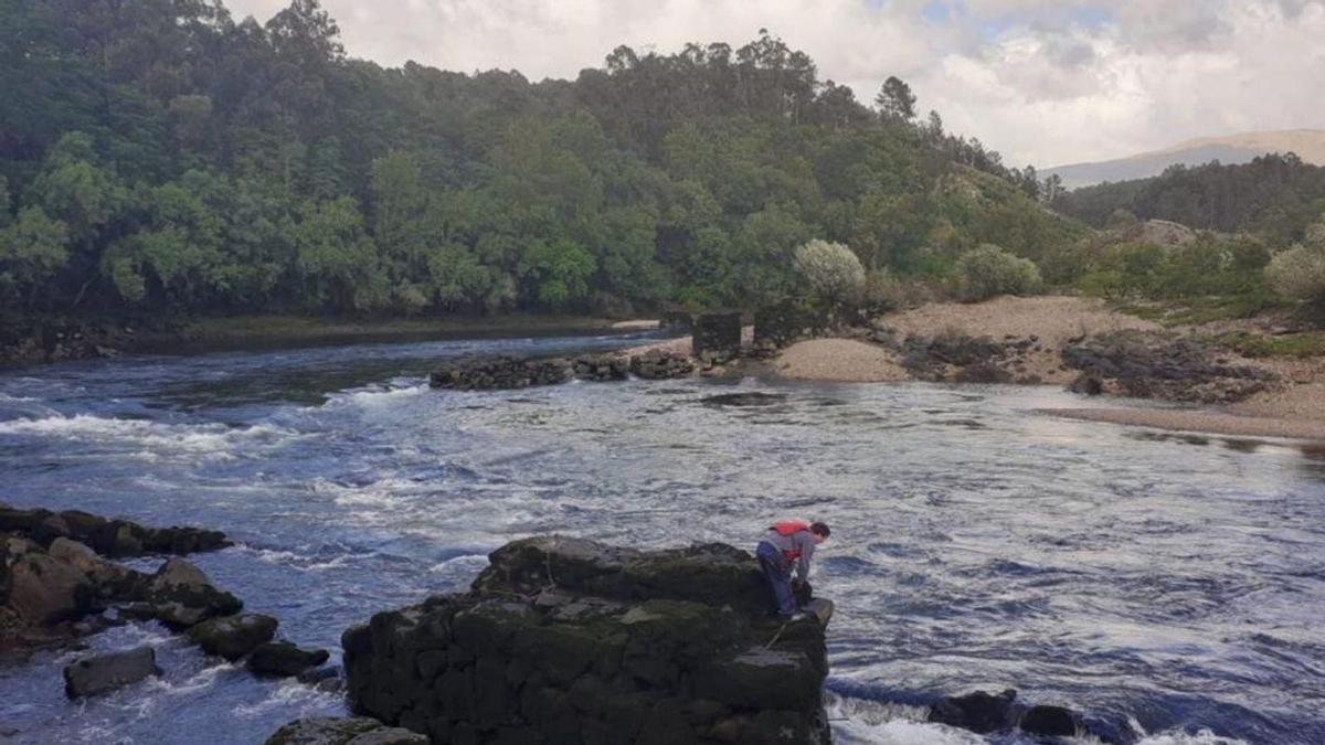 Un pescador, en la captura de la lamprea en el Miño a su paso por Arbo.