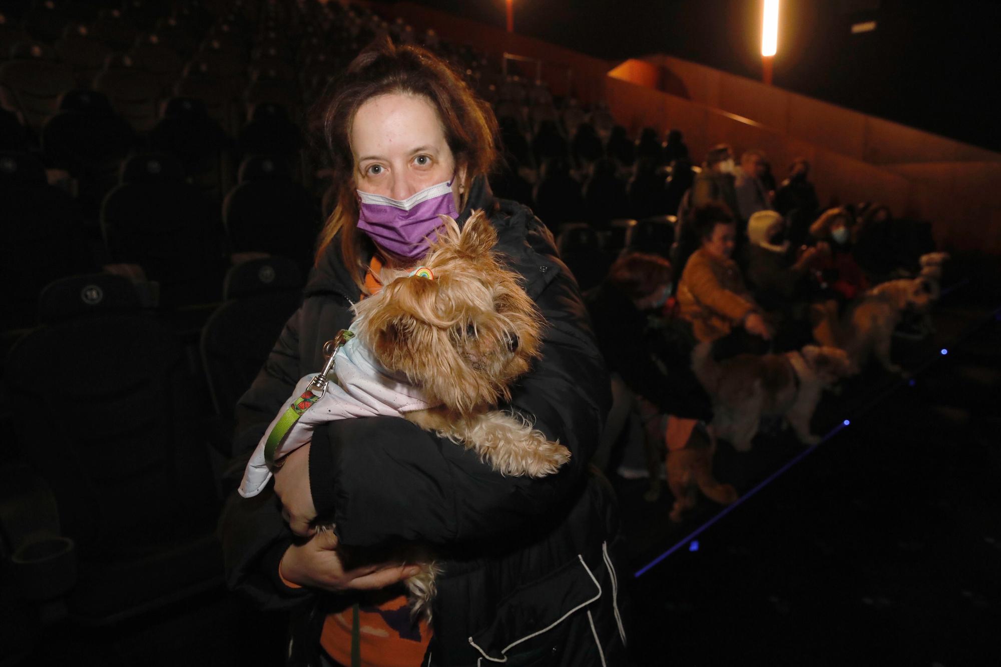 En imágenes: los perros ya van al cine en Gijón