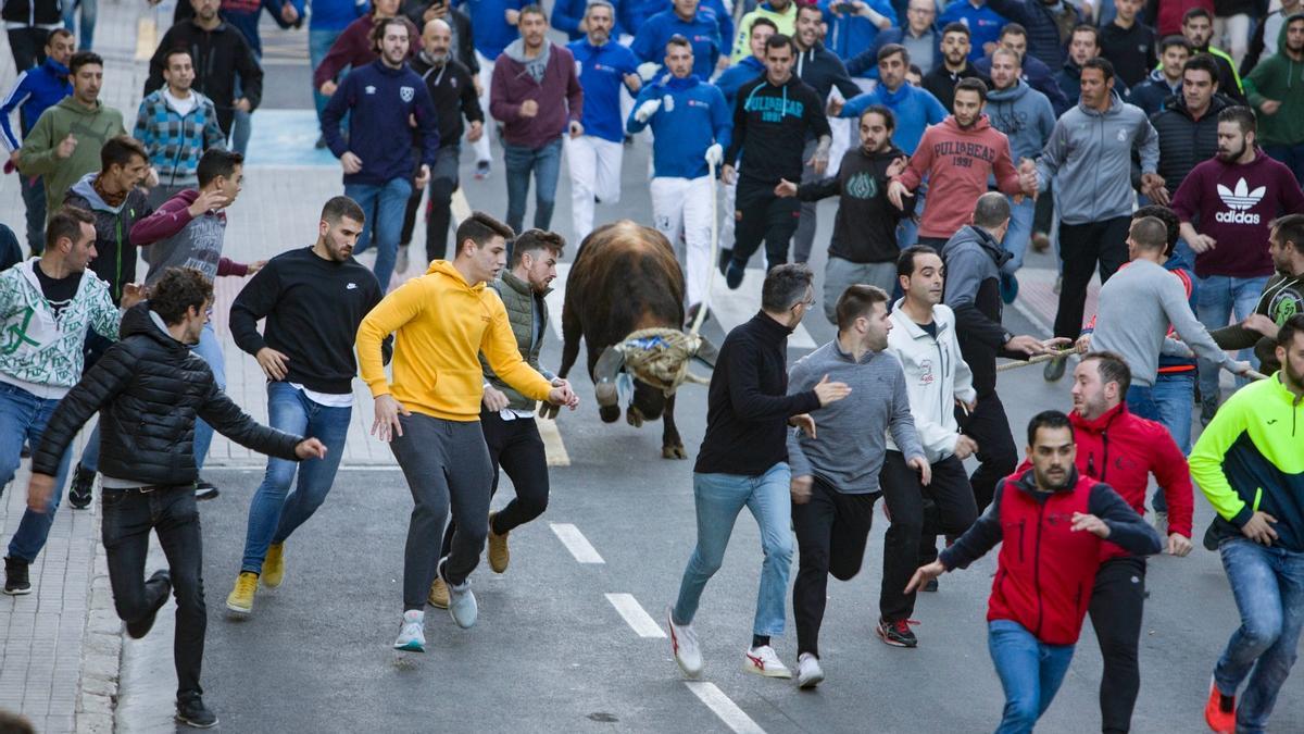 Foto d’arxiu del bous al carrer d’Ontinyent en 2019