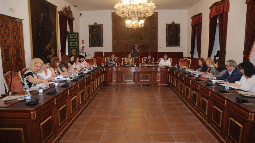 Las diputadas de Igualdad andaluzas estudian en Córdoba estrategias comunes