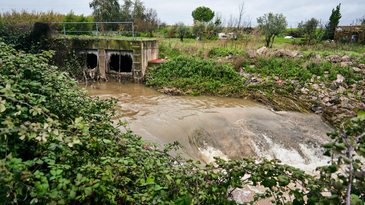 Zona baja de la Ribera. Los hortelanos denuncian la falta de limpieza.