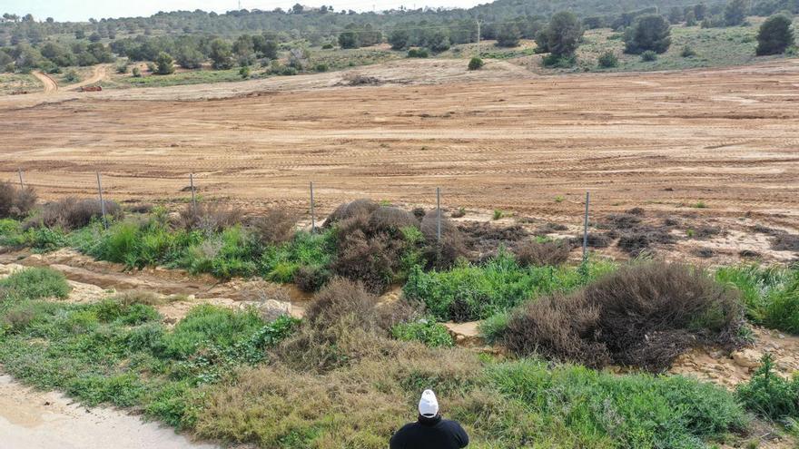 El Consell autorizó en mayo transformar suelo forestal en agrícola con multas previas al propietario por roturaciones ilegales