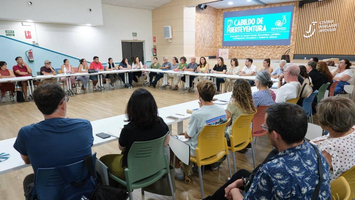 Imagen del encuentro entre representantes del Cabildo y colectivos sociosanitarios.
