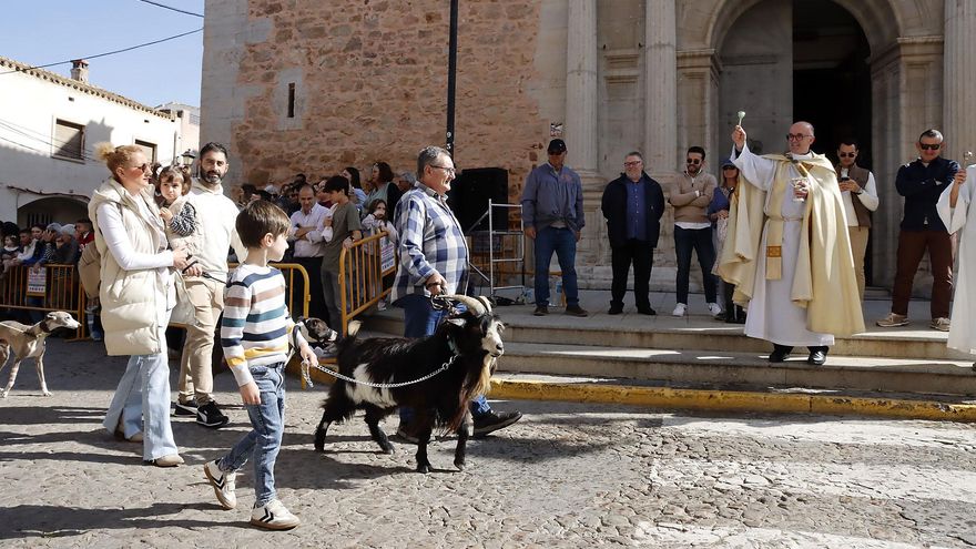 Puçol mantiene la tradición de Sant Antoni