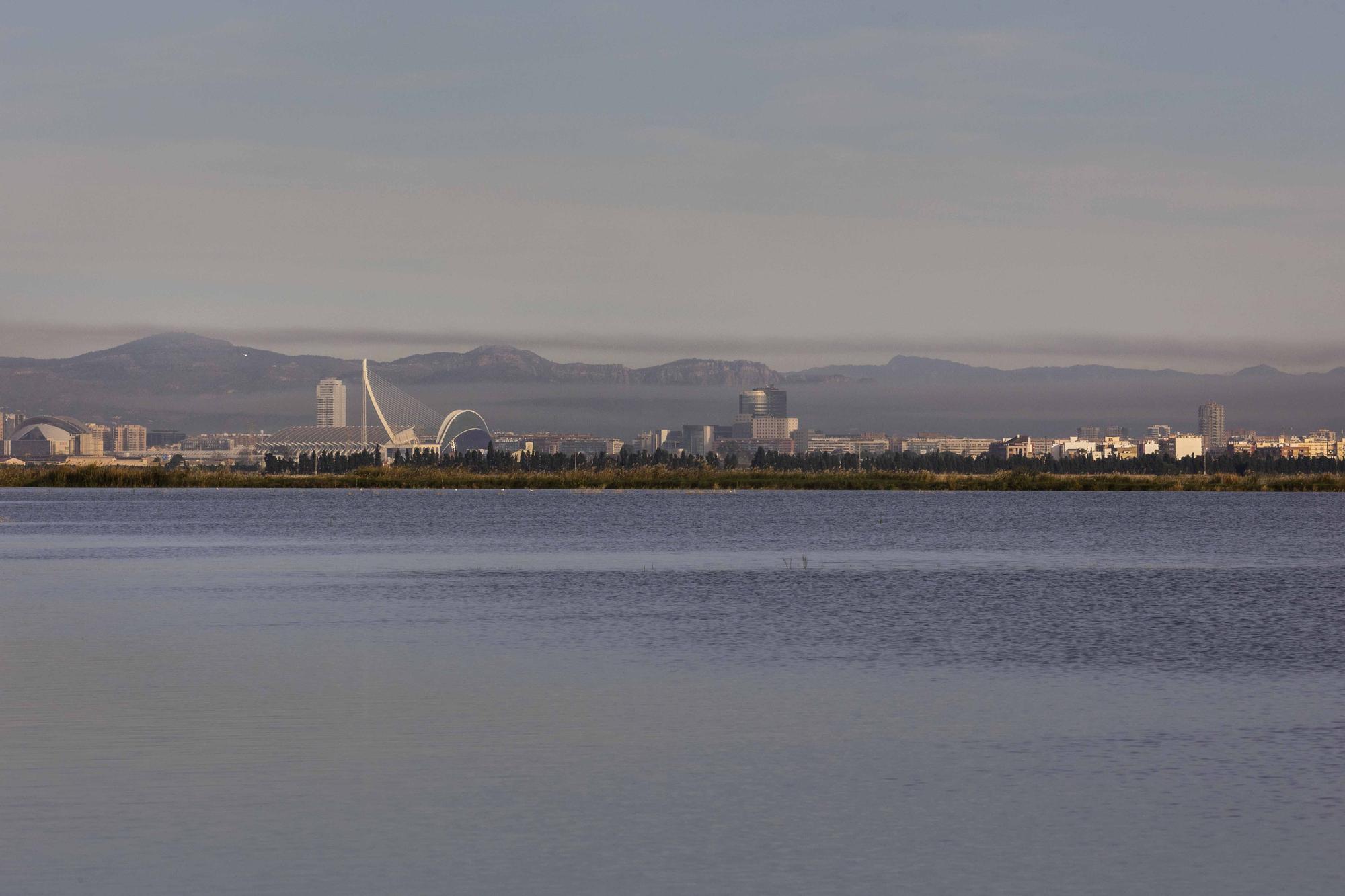 L'Albufera y su biodiversidad disfrutan de una caudal histórico