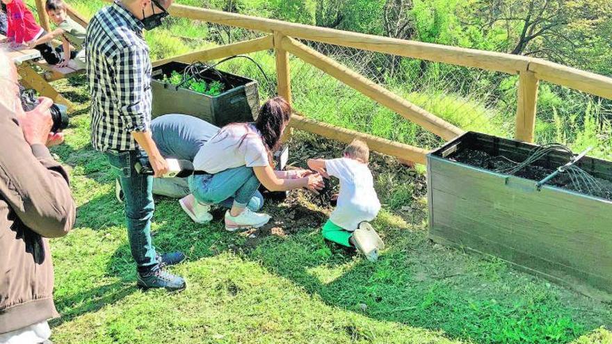 Escola Valenciana repartix un milió de llavors en les ReTrobades