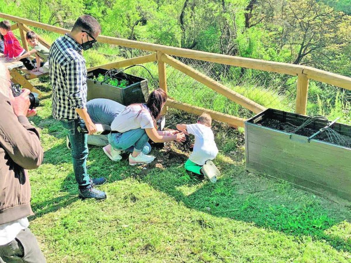 Escola Valenciana repartix un milió de llavors en les ReTrobades