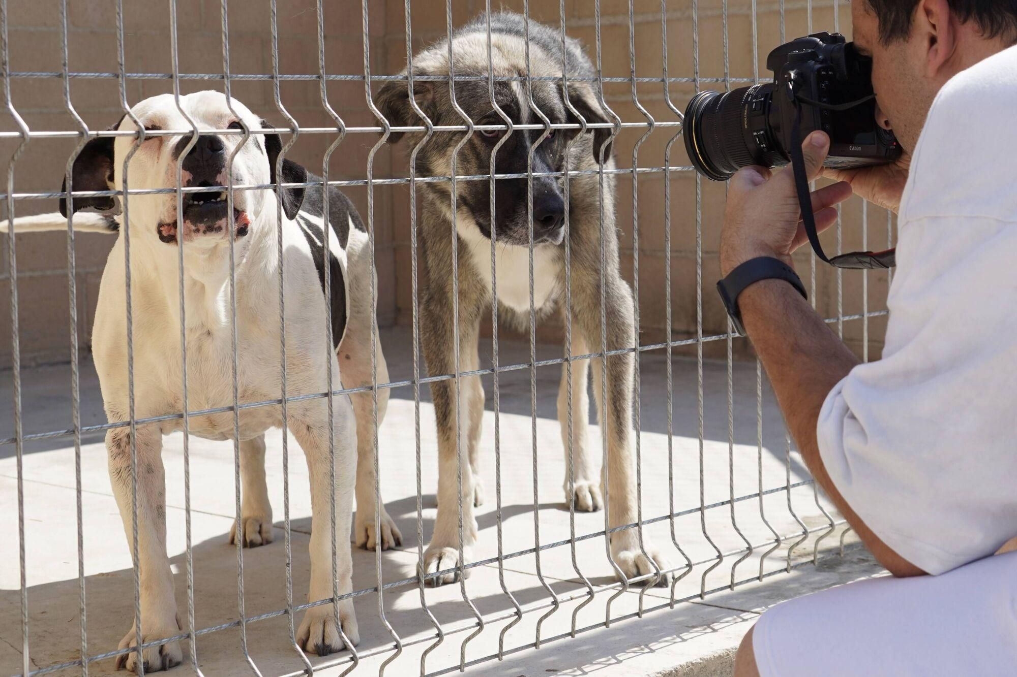 Visita a las instalaciones del nuevo Centro de Protección Animal
