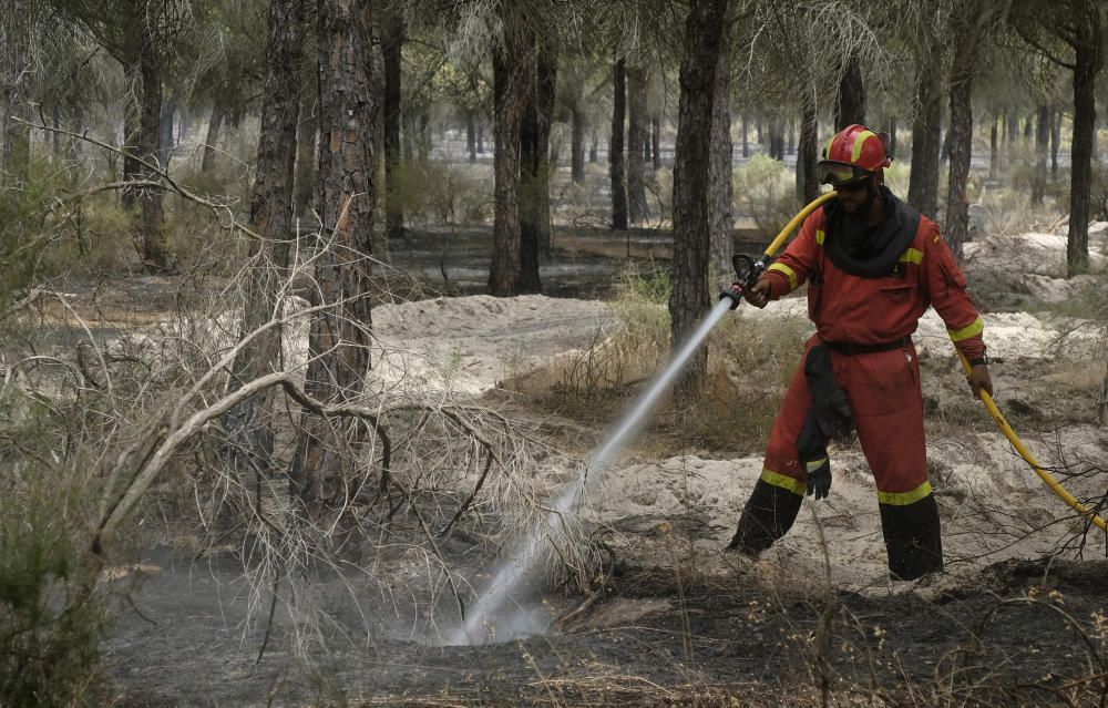 El incendio de Moguer alcanza el Espacio Natural de Doñana