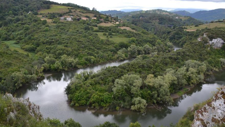 Mejoras en la señalización y desbroces: este es el proyecto para las sendas de un Monumento natural ubicado muy cerca de Oviedo