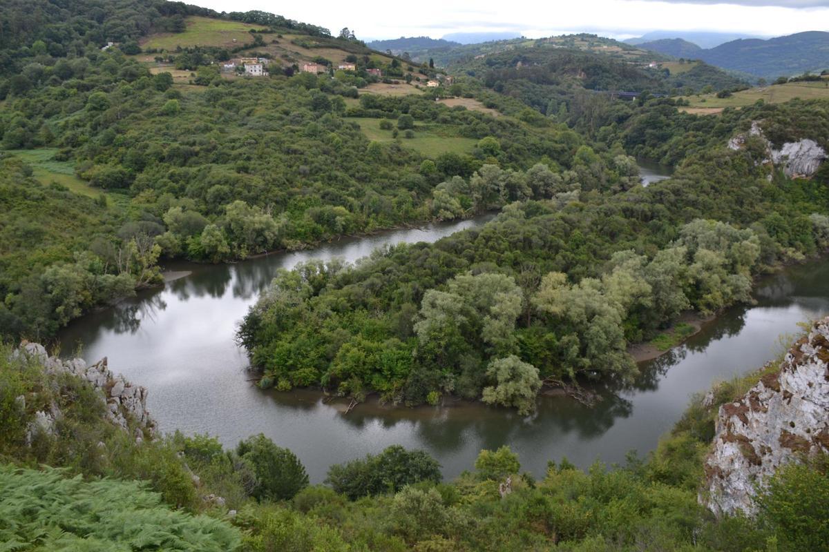 Vista desde el mirador de La Peñona del meandro de Cueto Rañeces.