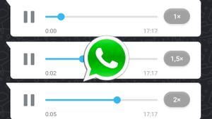 Audio Whatsapp