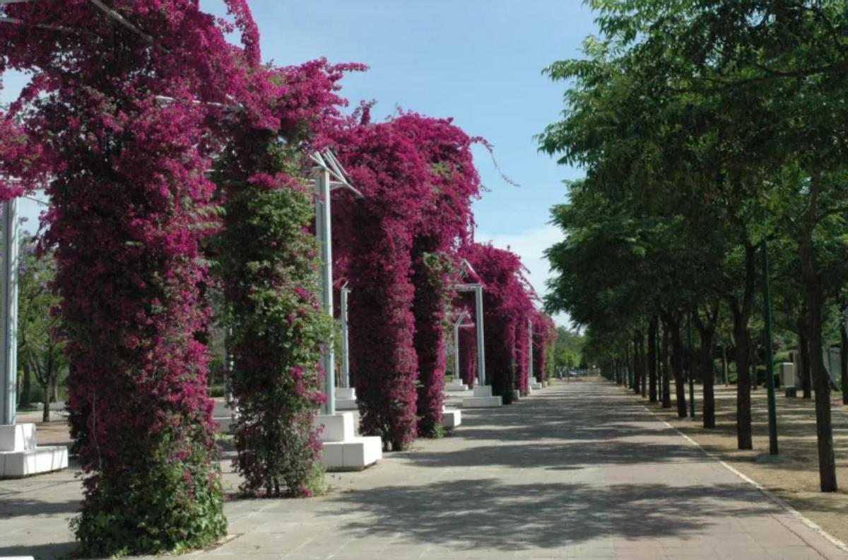 Parque José Celestino Mutis, uno de los jardines botánicos más espectaculares de Sevilla