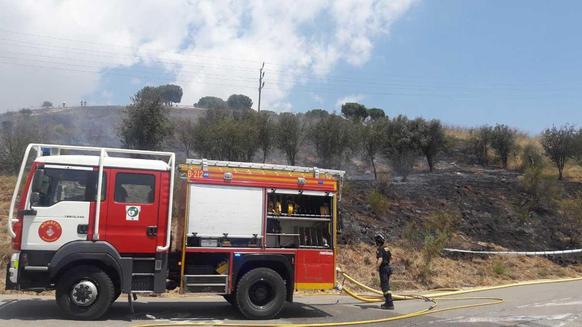 Los bomberos trabajan en la extinción del fuego de Collserola