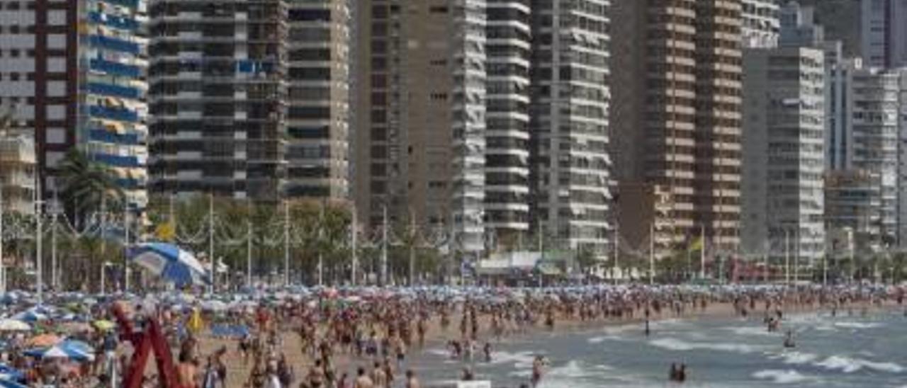 Bañistas en la playa de Levante de Benidorm en una imagen de este verano.