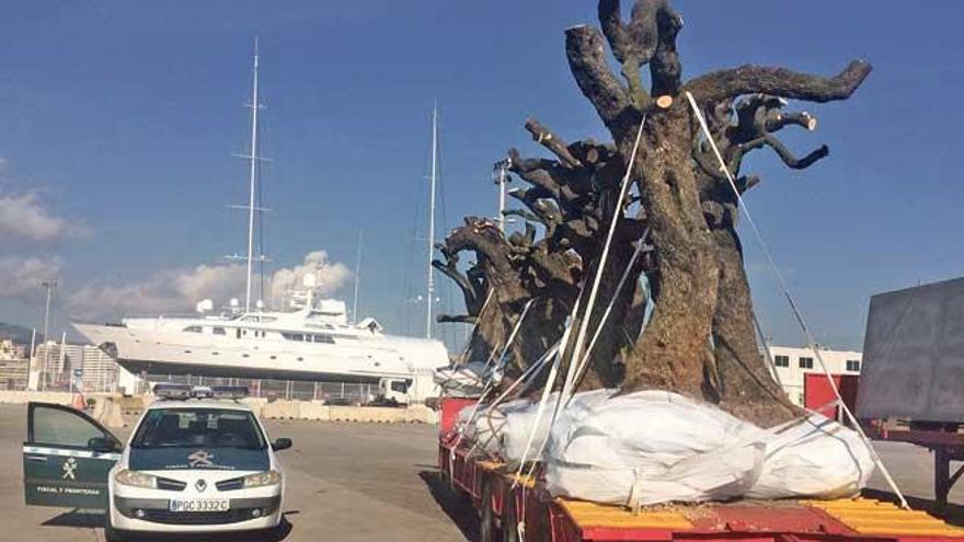 Cargamento intervenido ayer por la Guardia Civil en el puerto de Palma.