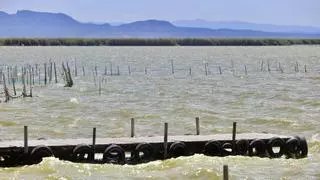 El plan hidrológico fija que es la CHJ quien debe unir el bajo Júcar con el lago de l'Albufera