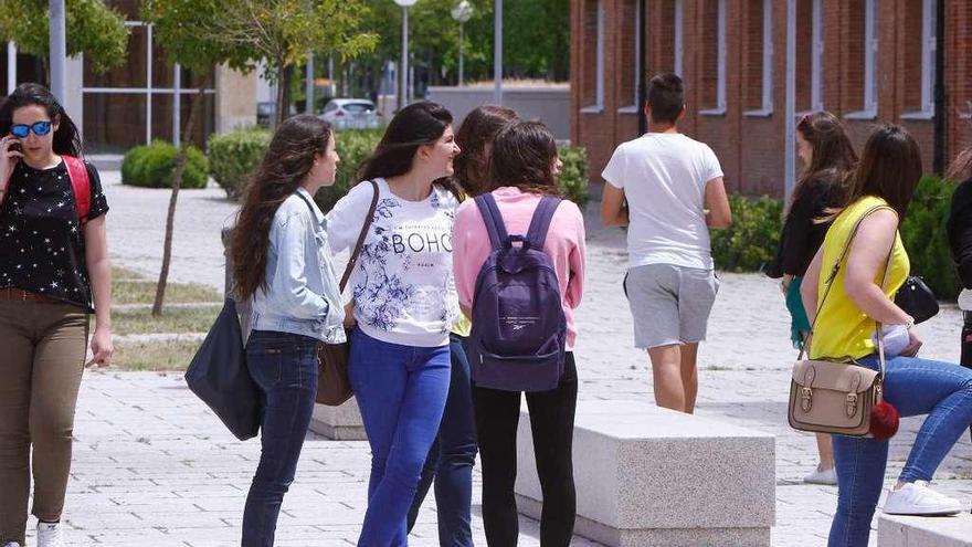 Un grupo de jóvenes, durante un descanso de los exámenes de Selectividad en el Campus Viriato.