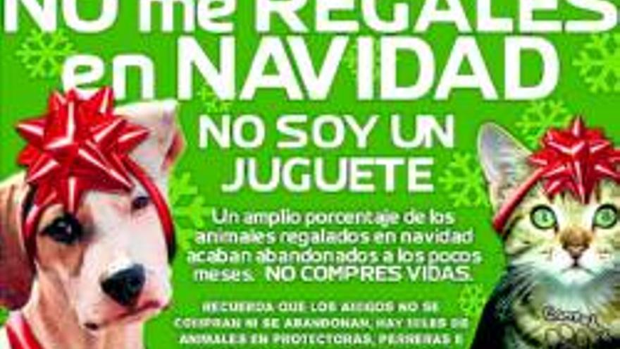 Animales fuera de juego